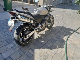 Honda hornet 600 - 2
