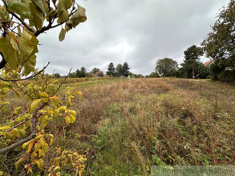 Priestranný pozemok o výmere 1666 m2 vo vinohradníckej obl - 2