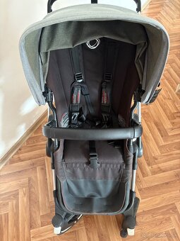 Bugaboo buffalo - 2
