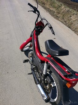 Korado manet - 2