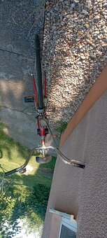Dámsky bicykel - 2