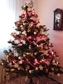 predám vianočný stromček - 2