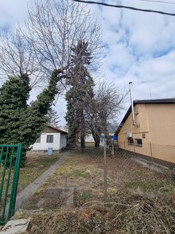 DARUJEM DREVO ZA ODVOZ - 2