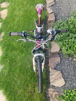 Scott Contessa Jr 24 - 2