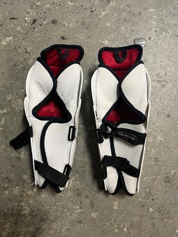 Predam juniorské hokejové holene - 2