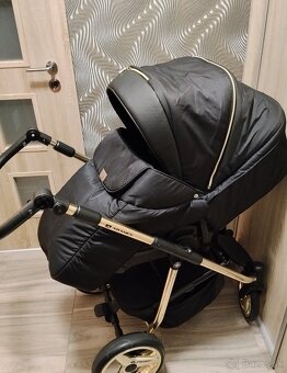 Adamex Reggio Gold - 2