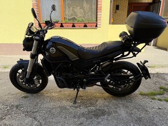 Predam Benelli Leoncino 500 - 2