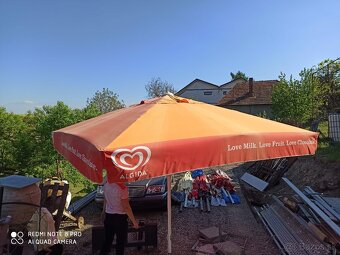 Slnečník - 2