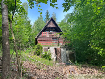Investičná príležitosť: 4,6ha lesný pozemok s chatou blízk - 2