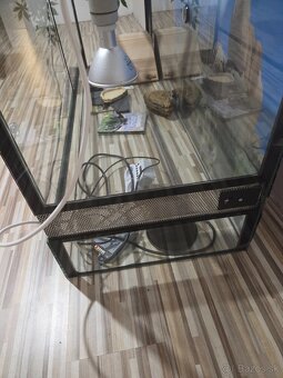 Terárium s vybavením - 2