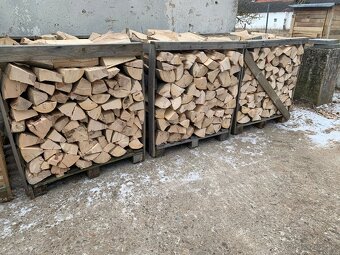 TVRDÉ PALIVOVÉ DREVO - 2