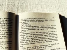 Lanoux Armand - Pastýř včel z roku 1985 - 2