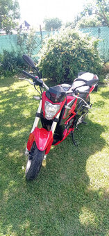Benelli BN251 - 2
