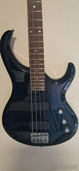 basgitara ALBA - 2