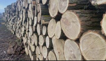 Predam palivove drevo - 2