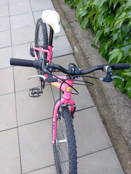 Detský bicykel Harry Lucy 24 - 2