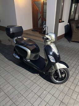 Sym fidlle 3 125 cm - 2