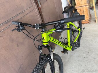 Predám bulls wildtail 1 - 2