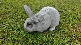 Predám VSS velký svetlý strieborný - 2