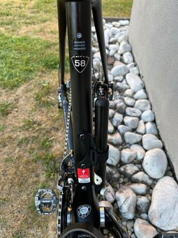 Specialized ROUBAIX CARBON bike vel. 58, model 2019 - 2