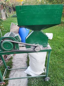 Šrotovník obilia - 2