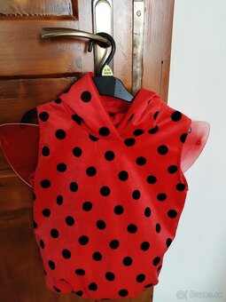 Karnevalový kostým - 2