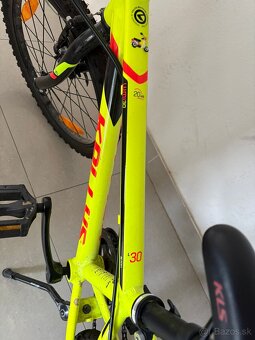 Kelly’s Lumi 30 - 2