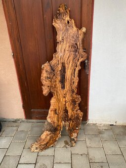 Olivové drevo - 2