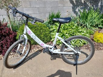 Bicykel Neuzer - 2
