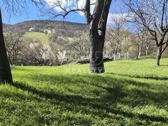 Na predaj 3-izbový rodinný dom s POZEMKOM 3 558 m2,... - 2