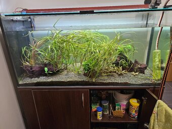 Predám komplet akvarium - 2