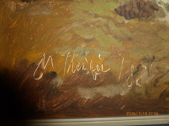 Predám maľovaný obraz v ráme - 2