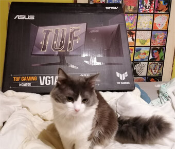 27" ASUS TUF Gaming VG279QM1A - 2