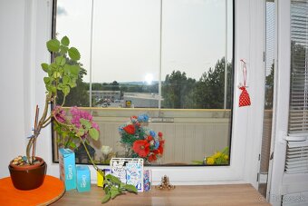 Na prenájom 2 izbový byt na sídlisku JUH - 2