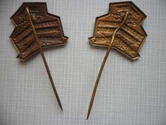 Historický bronzový odznak - Košice 1923 - 2