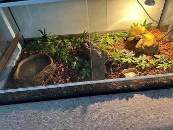 Predám terarium - 2