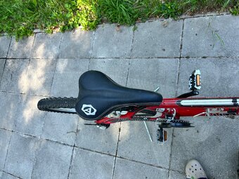 Author bicykel Damsky - 2