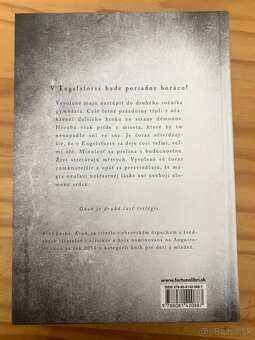 Predám knihu Oheň od Sara B. Elfgreenová a Mats Strandberg - 2