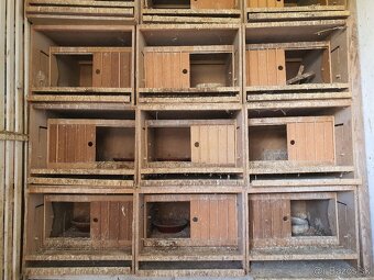 Budnik, budka, hniezdo pre postove holuby - 2