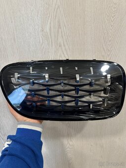 Predné ľadvinky / gril / maska - 2