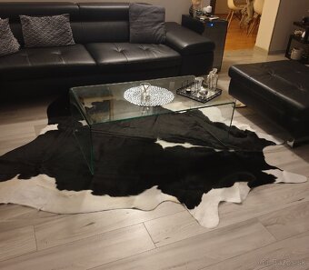 Koberec- pravá loža - 2