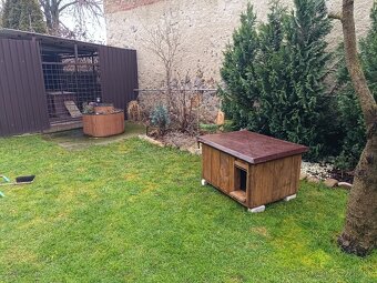 Psia buda-predaj. - 2