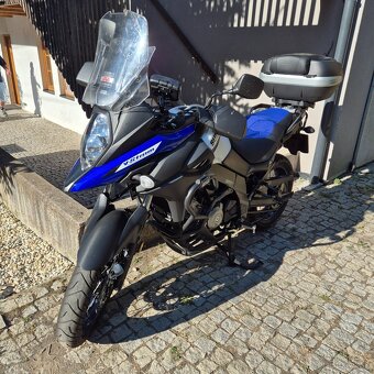 Suzuky v strom 650 - 2