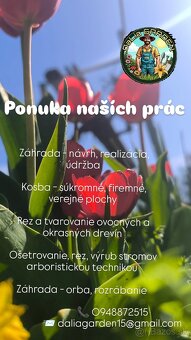 Záhradník, kosenie, strihanie, úprava záhrad - 2
