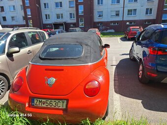 Beetle - 2