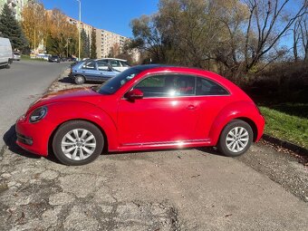 Predam vw beetle - 2
