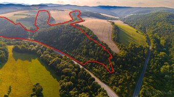 Rokycany – 125.140 m2 LESNÝ POZEMOK v podiele 1/1 - 2