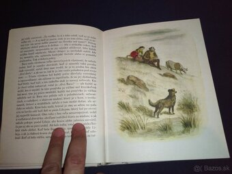 Božena Nemšová Chyža pod horami - 2