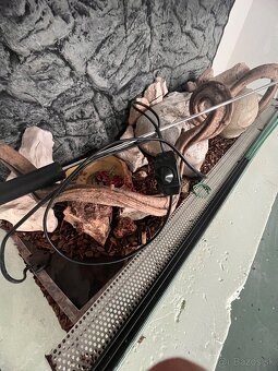 Terarium 100x40x40 - 2