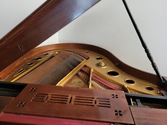 Krídlo / klavír - 2